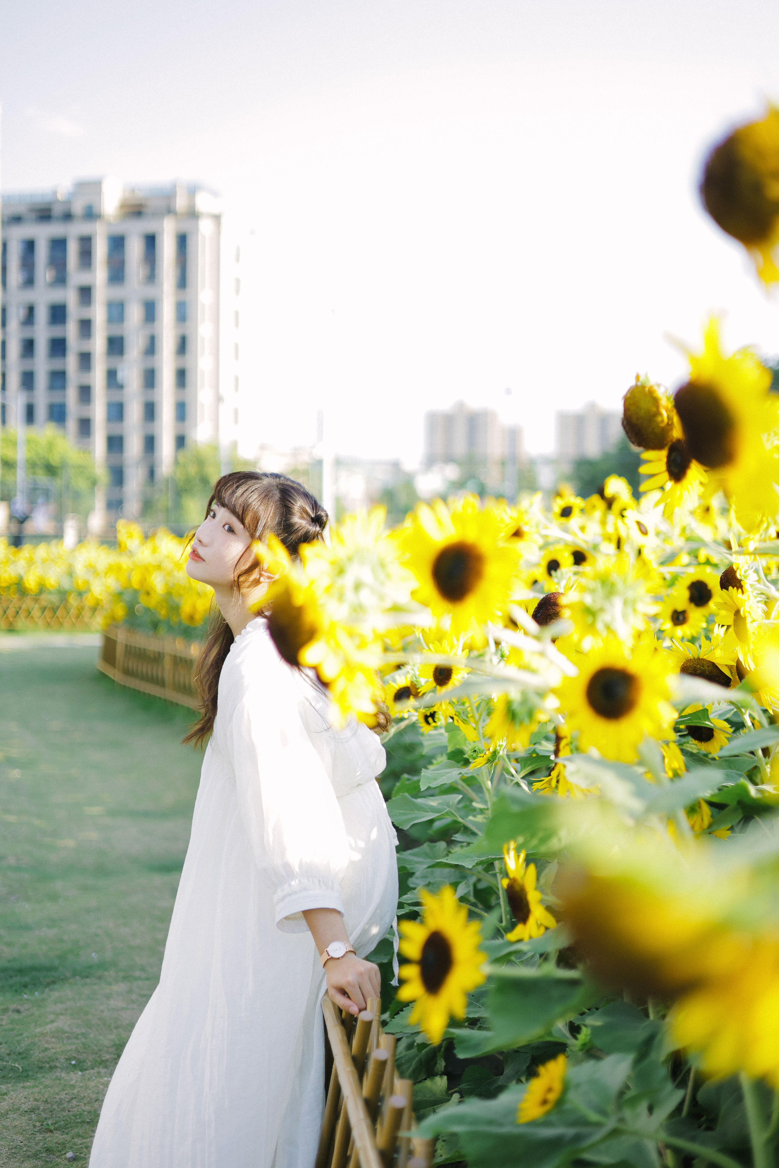 阳光下的花和你 日系 少女 向日葵 花 写真集