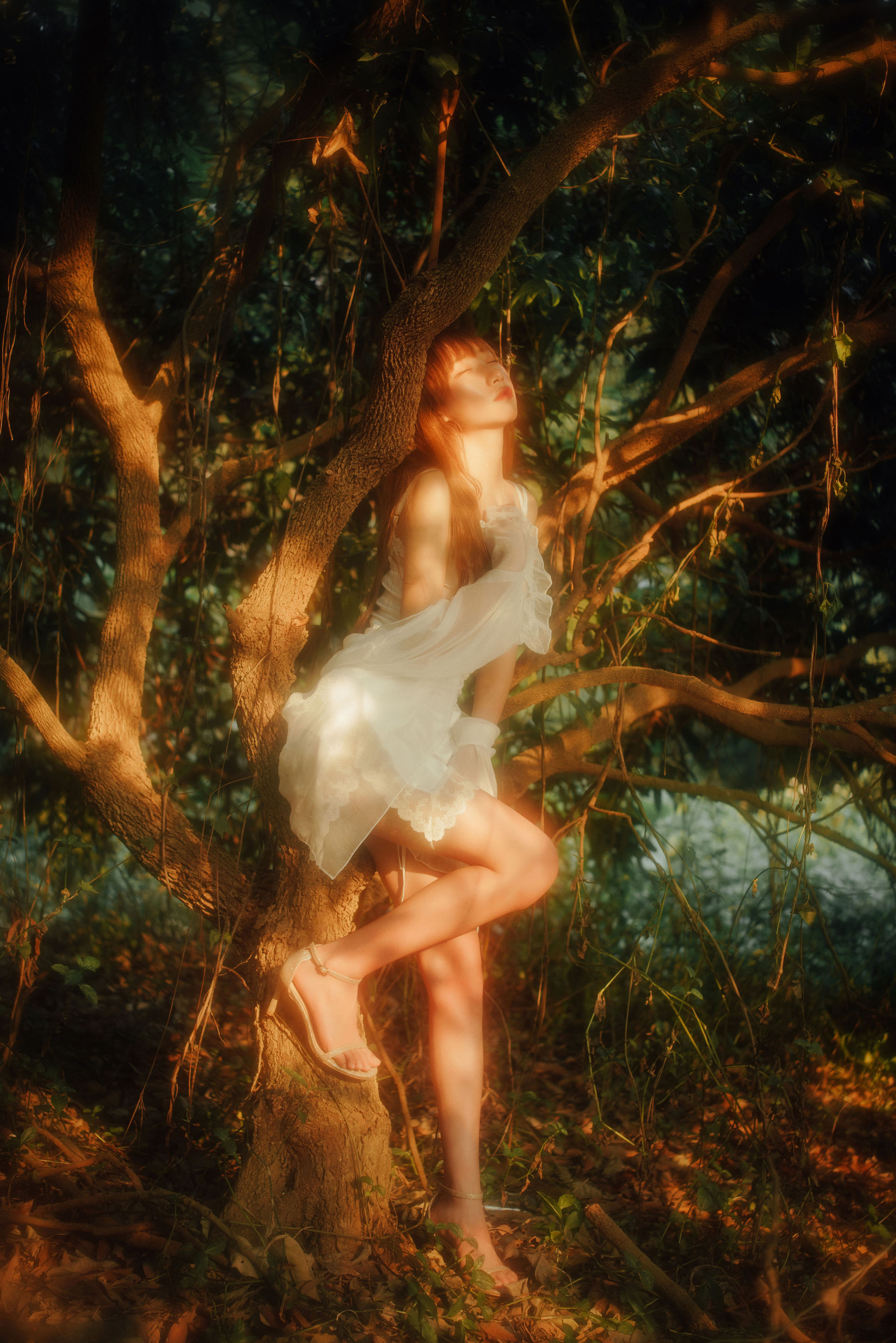 森林里的精灵 精灵 树林 光影 摄影 人像 模特